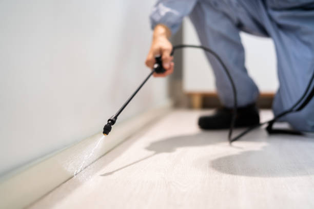 Licensed Cockroach Control service in Monterey Park, CA - Nex Pest Control