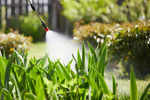 24/7 Emergency Cockroach Control experts in Monterey Park, CA