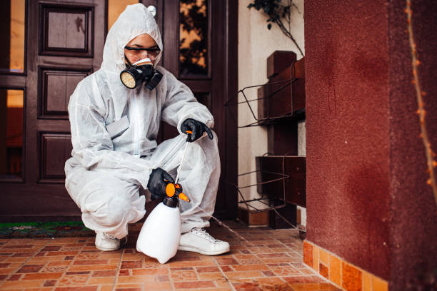 Reliable Cockroach Control contractor in Monterey Park, CA by Nex Pest Control